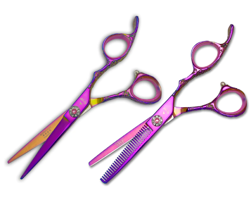 Why Do You Need To Keep Your Hair Shears in Top Shape?